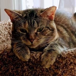 Meet your Posher, Carol